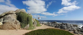 Cabañas Isla Neruda